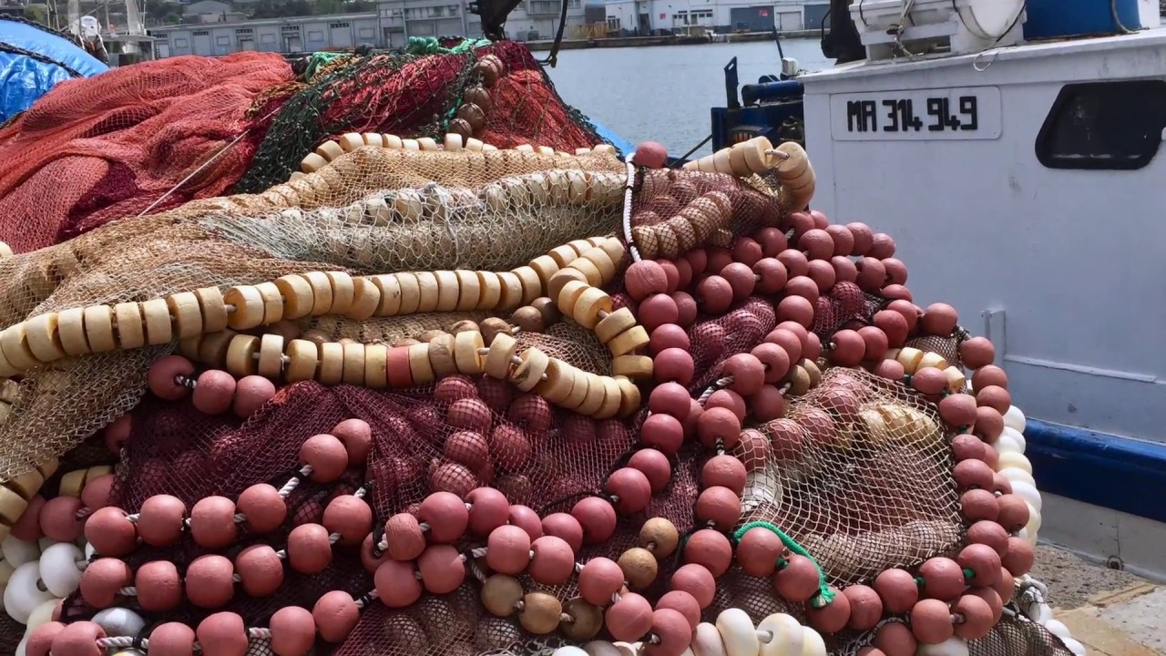 Rêverie du côté de Port Vendres dans le pays Catalan