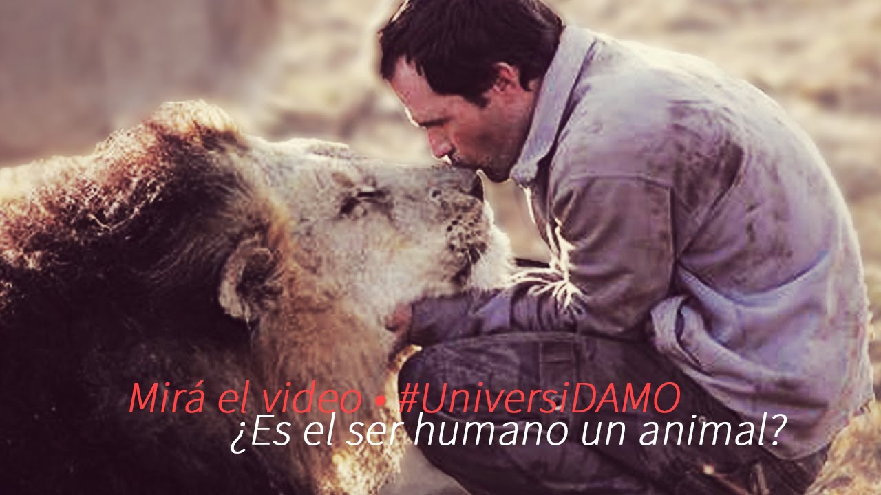 ¿Es el ser humano un animal? | #UniversiDAMO | Damo