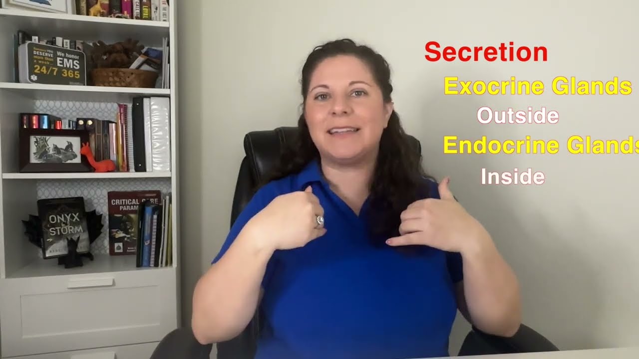 Epithelial Tissue Explained | Anatomy & Physiology Basics