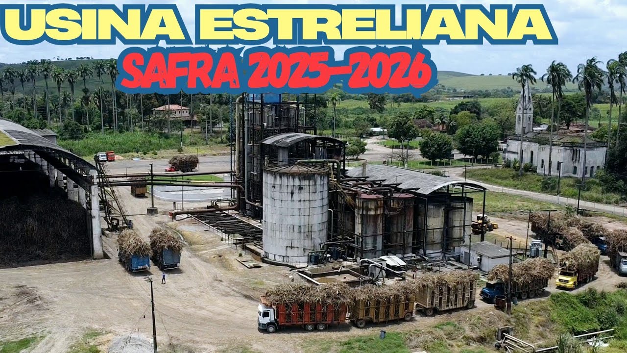 USINA ESTRELIANA - RIBEIRÃO-PE, SAFRA 2025-2026