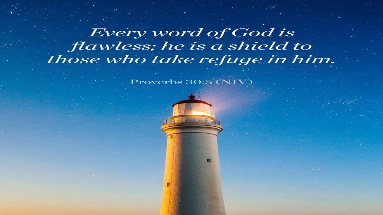PROVERB WEDNESDAY: 'SHELTER IN A SINGLE SENTENCE'