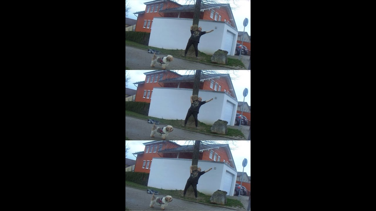 MONDAY EVENING WALK/Steinheben: c.a. 40 - 50 kg schweren Stein schultern: 3x1👍🏻💪🏻😊❤️🤝🐶🪨🌳🍃🍂🍁🏡🏘🦅☁️ 🌧🌄🌃