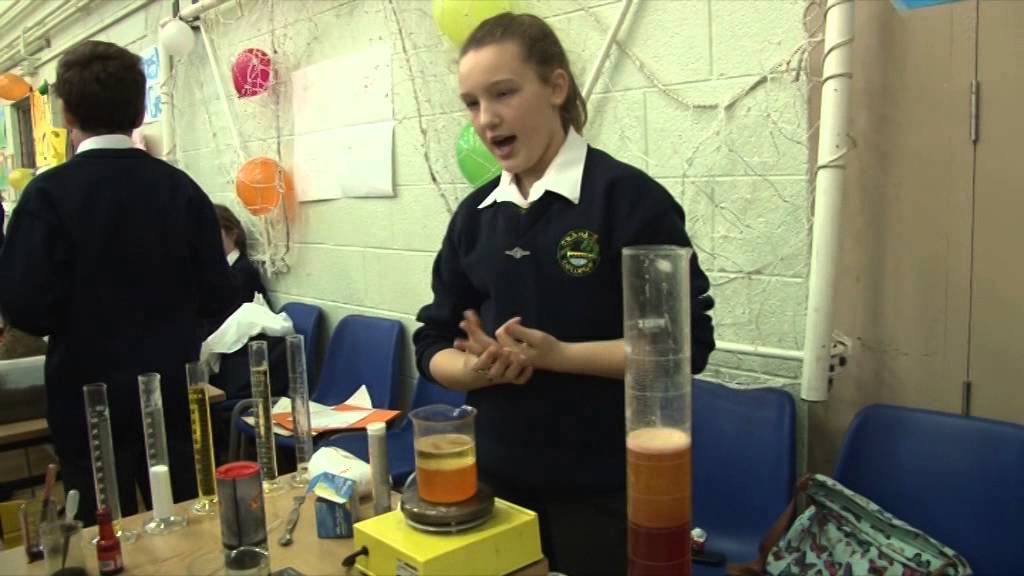 Crana College Science Exhibition 2014