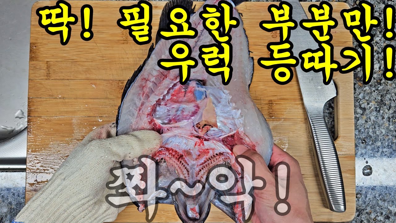 불필요한 영상 없이 딱! 우럭 등따기 하는 방법만 있습니다.