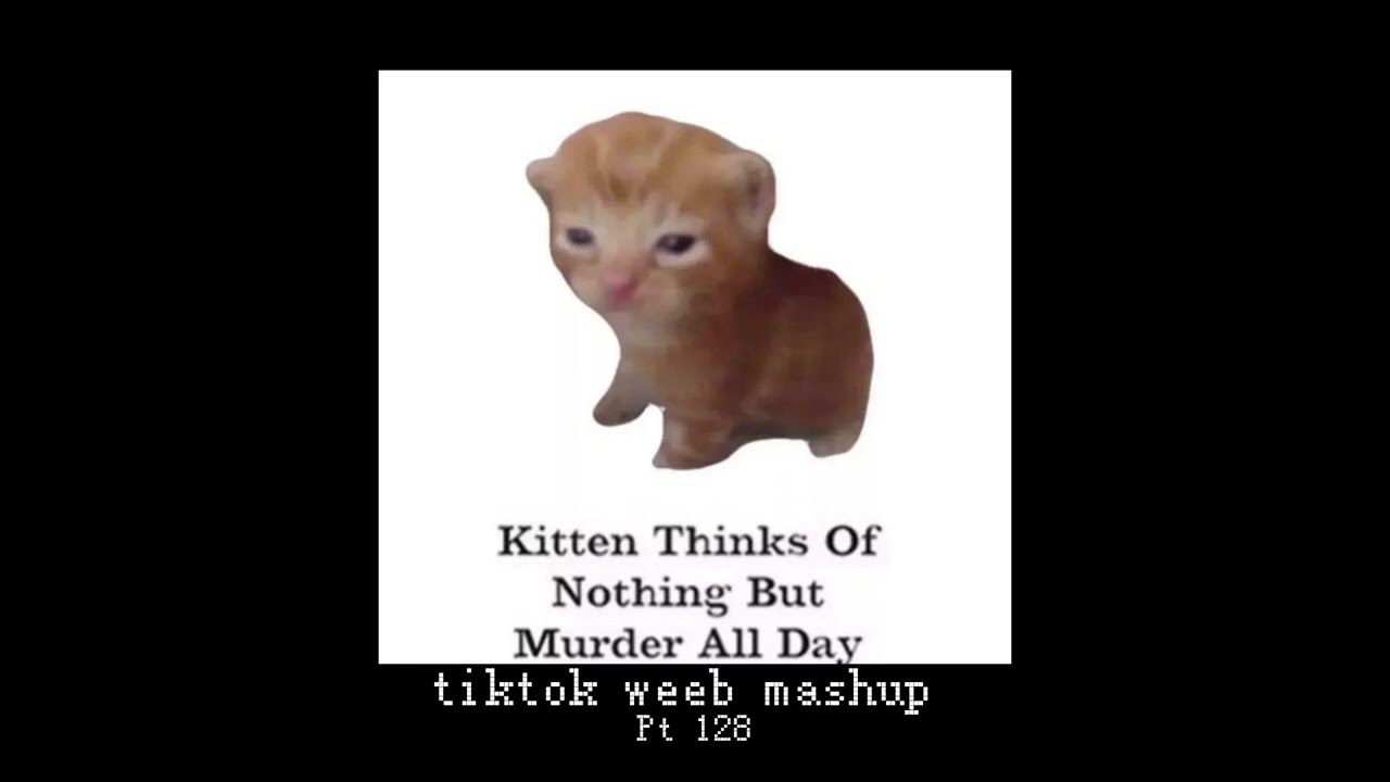tiktok weeb mashup 128 (54 songs)