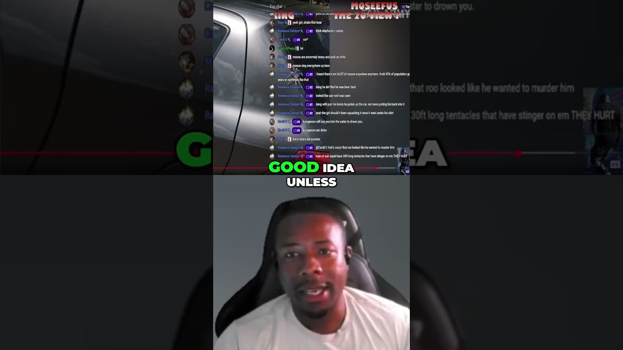 Wildlife Chaos: Alligator Attacks! Crazy Animal Encounters 