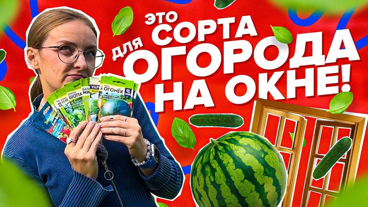 ЧТО СЕЯТЬ В ОГОРОДЕ НА ОКНЕ?