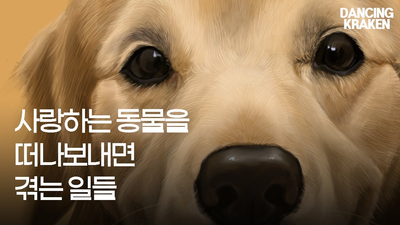 반려동물과의 이별 후 슬픔 극복하는 방법  | 펫로스 증후군