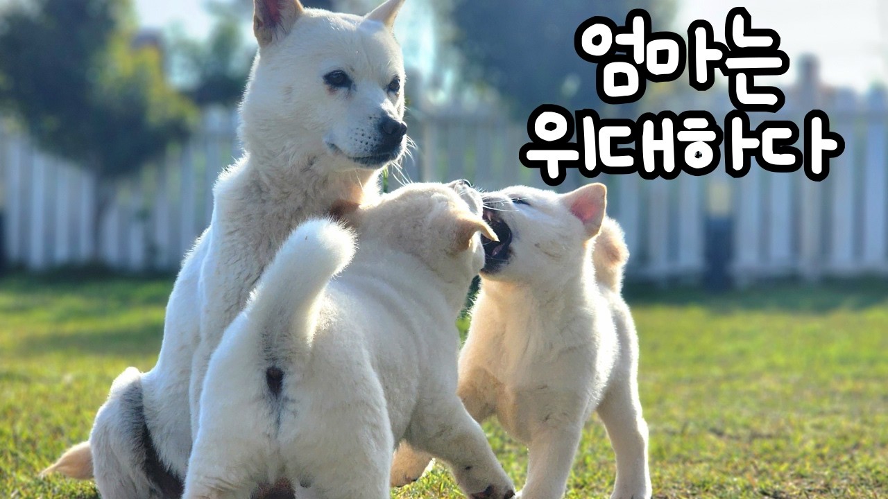 이런게 엄마의 마음♥
