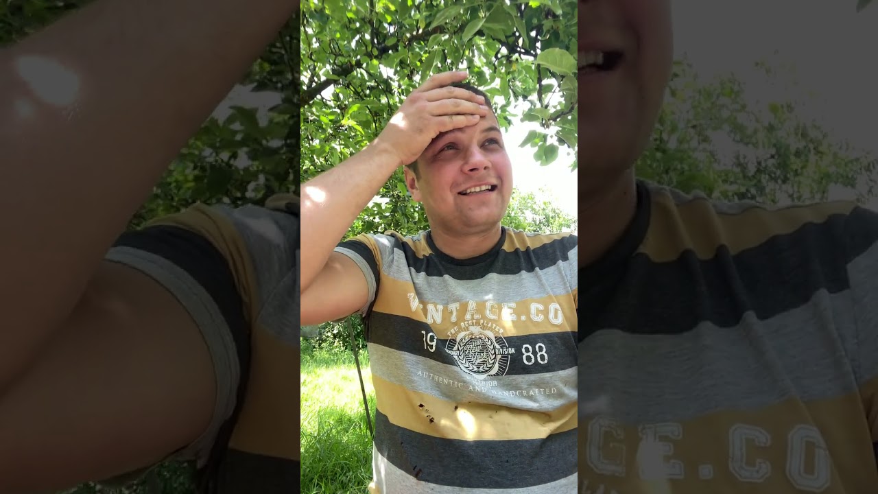 28 вересня 2025 р.