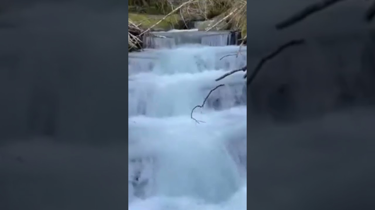 Salmon Ladder. Relaxing Water Sounds. #oregon #pnw #nature #water ##mountains #relax ##watersounds