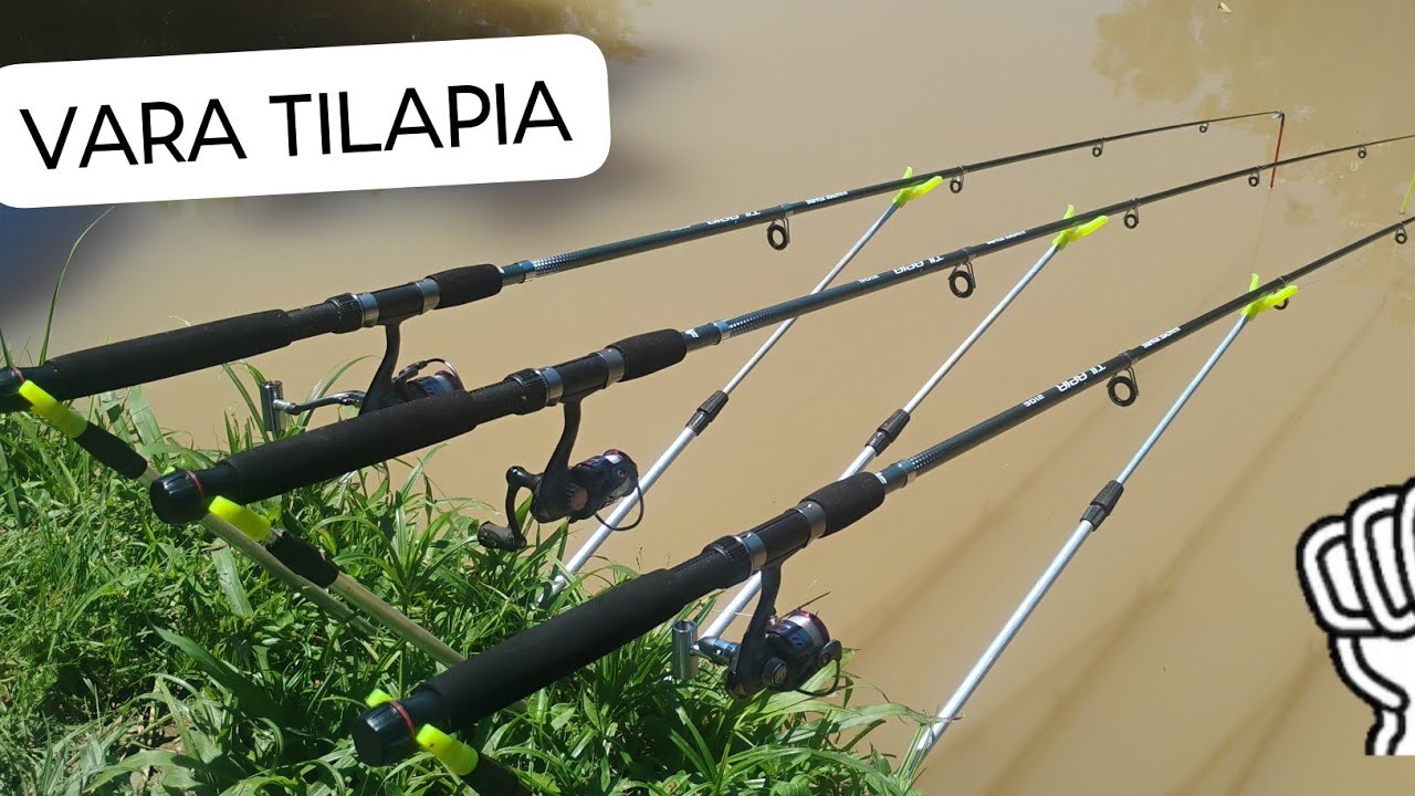 VARA TILAPIA ALBATROZ 2.10M 