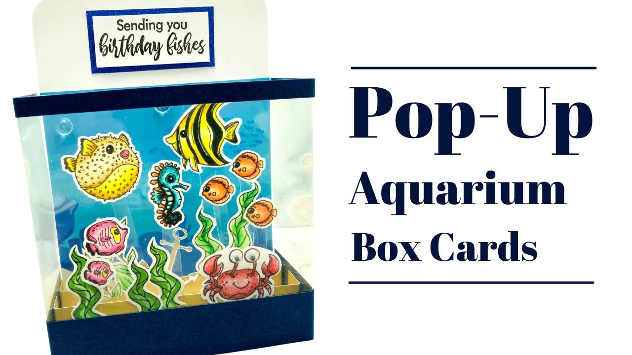 Pop-Up Aquarium Box Card