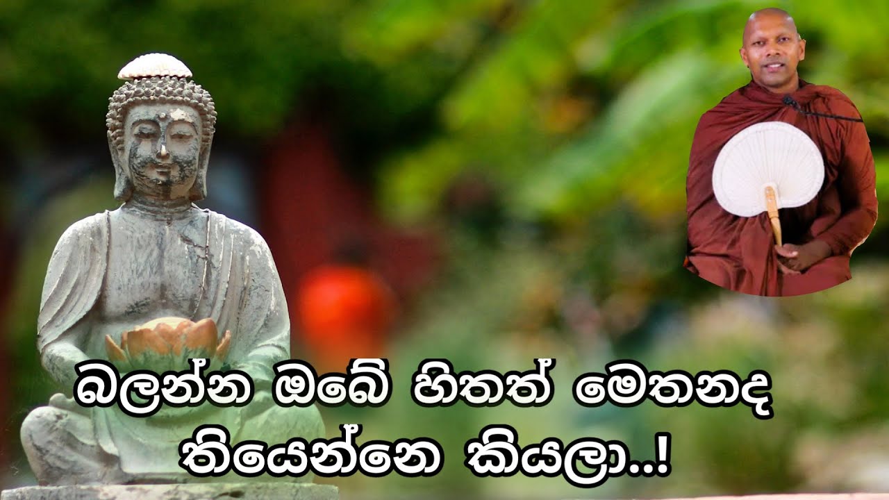 බලන්න ඔබේ හිතත් මෙතනද තියෙන්නෙ කියල..! Niwathapa Thero| #Arihath #budubana