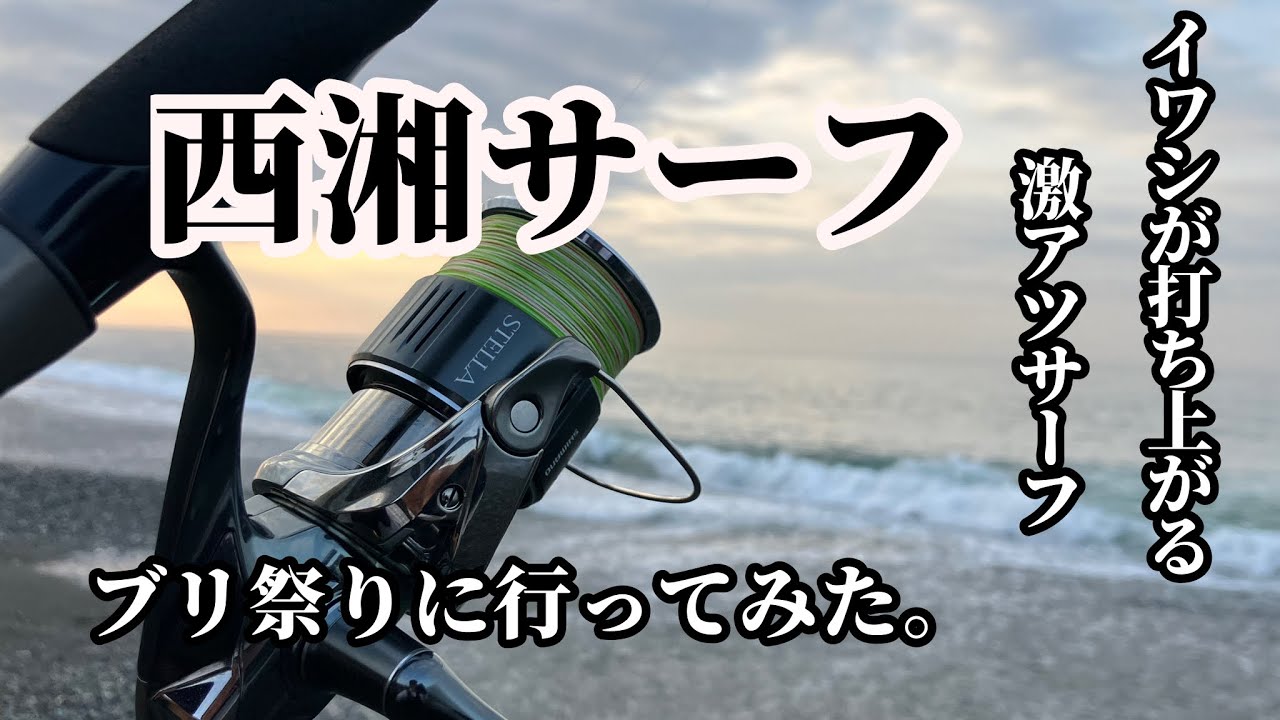 【西湘サーフ】イワシの森。ブリ回遊の激アツサーフで釣りした結果、ステラの入魂式を迎えました？