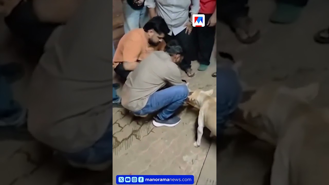Baby hit by car; Mother cries and waits for help; Painful sight | Malappuram
