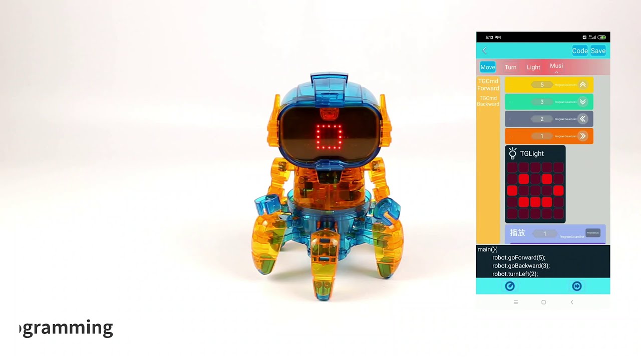 DIY Coding Robot