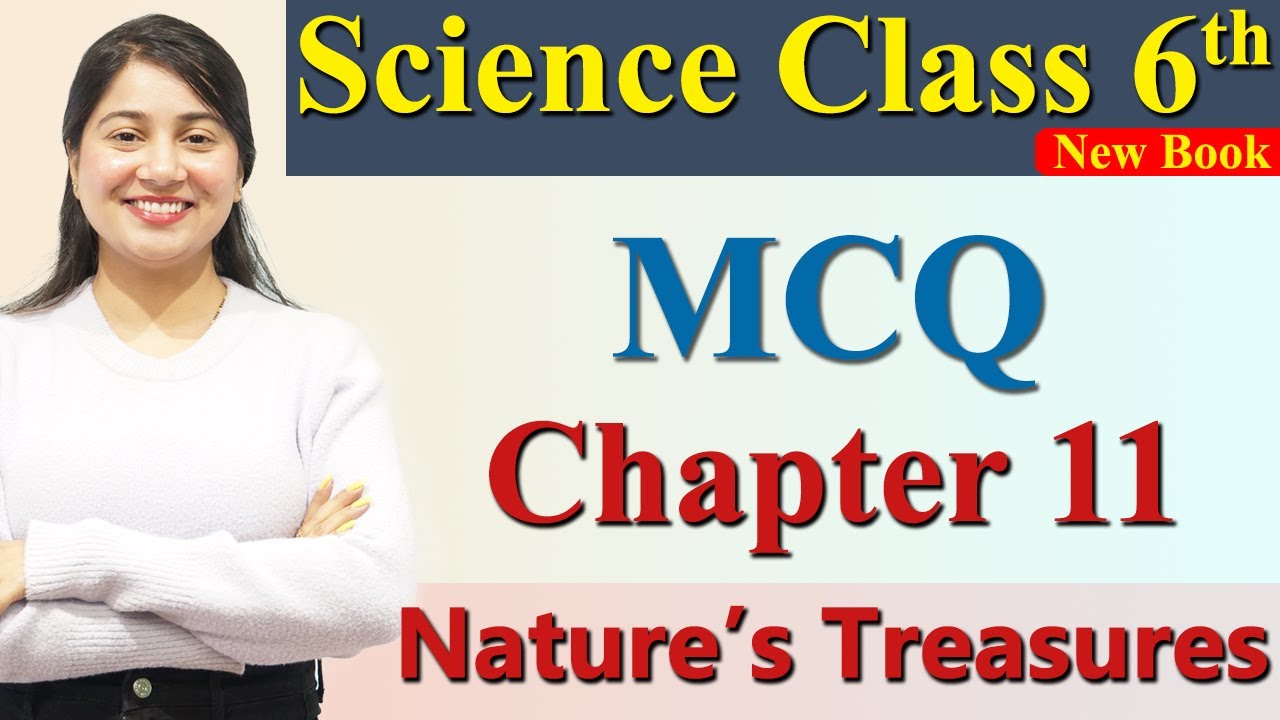 MCQ, Chapter 11 Nature’s Treasures Science Curiosity Class 6 CBSE NCERT