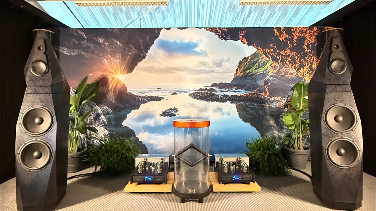 Avalon Saga Signature with Doshi power amplifier