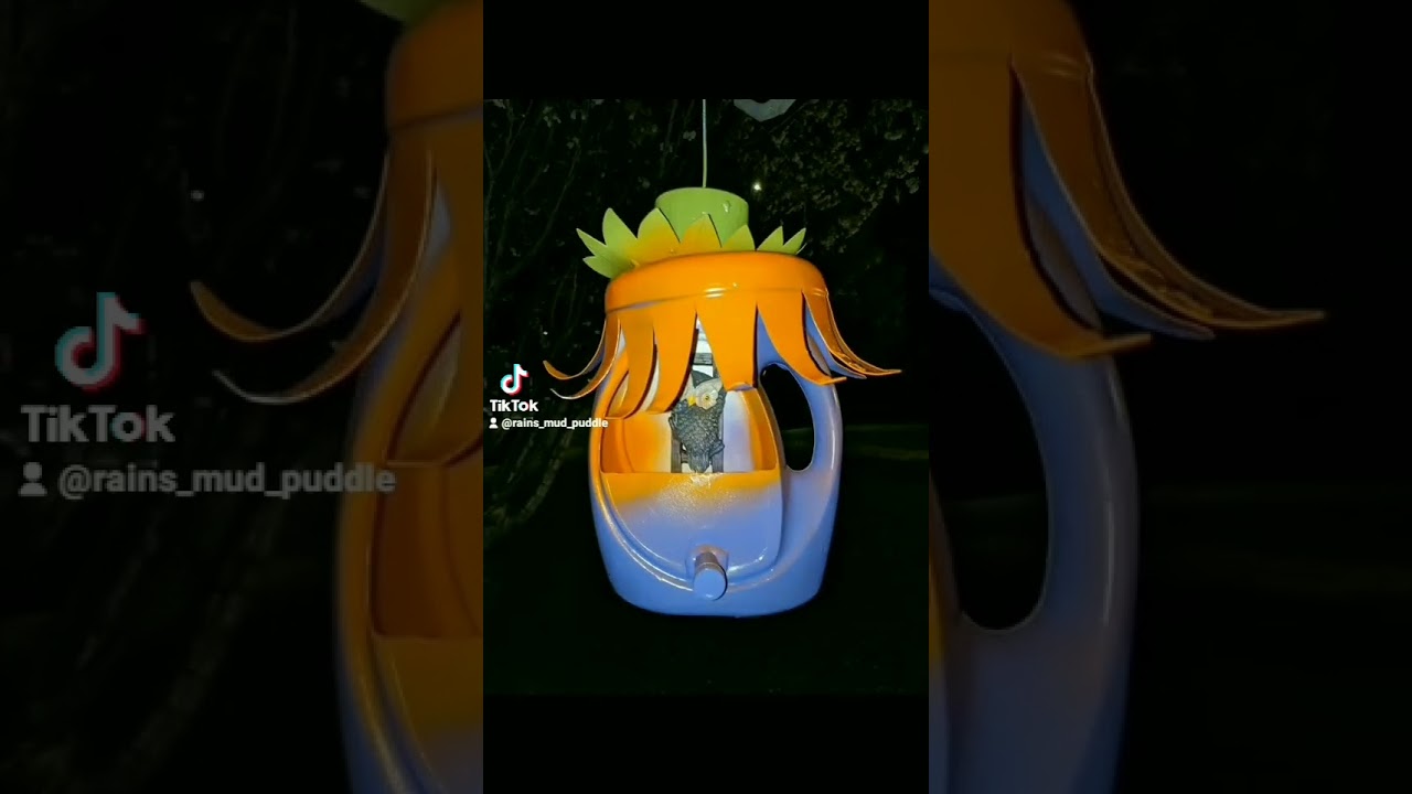 HOMEMADE BIRDHOUSE GEOCACHES MADE WITH UPCYCLED CONTAINERS