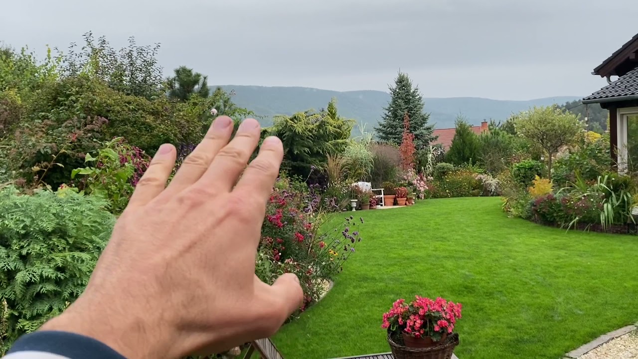Kerti fák (amiket ajánlok ültetni)