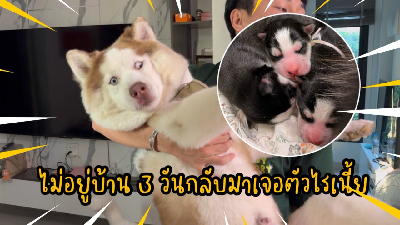 วินาทีที่เจอน้องผมรู้สึกสยองไป7วิ ทำไมมีแต่ผู้ชายอะครับยาย