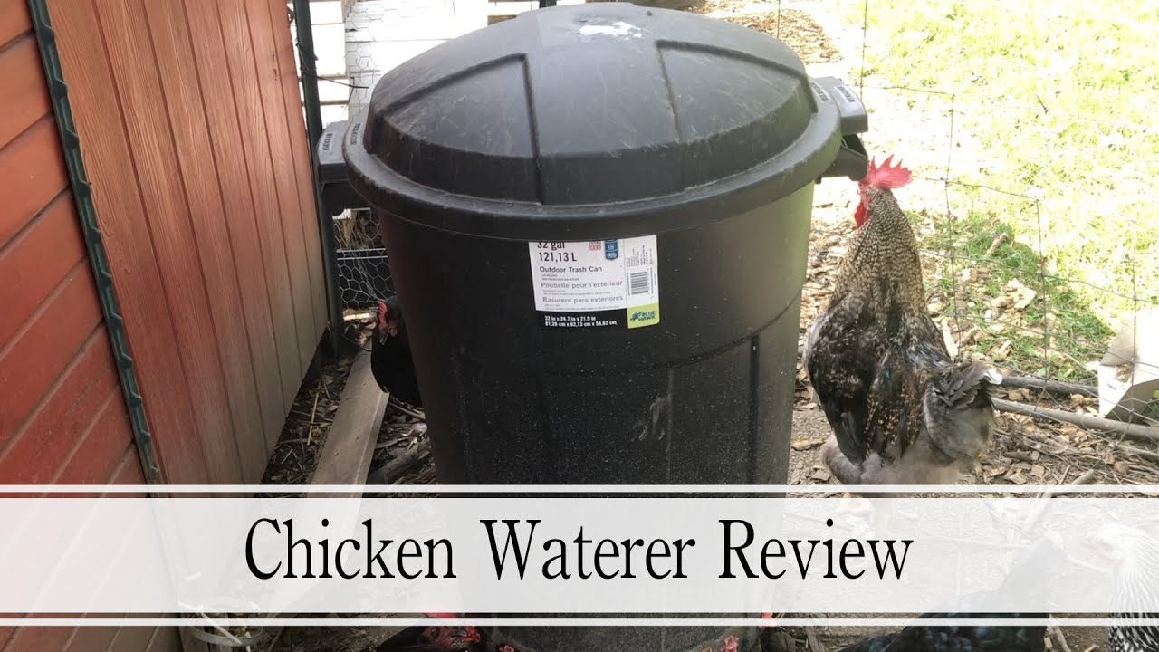 32 Gallon Trash Can Chicken Waterer Review
