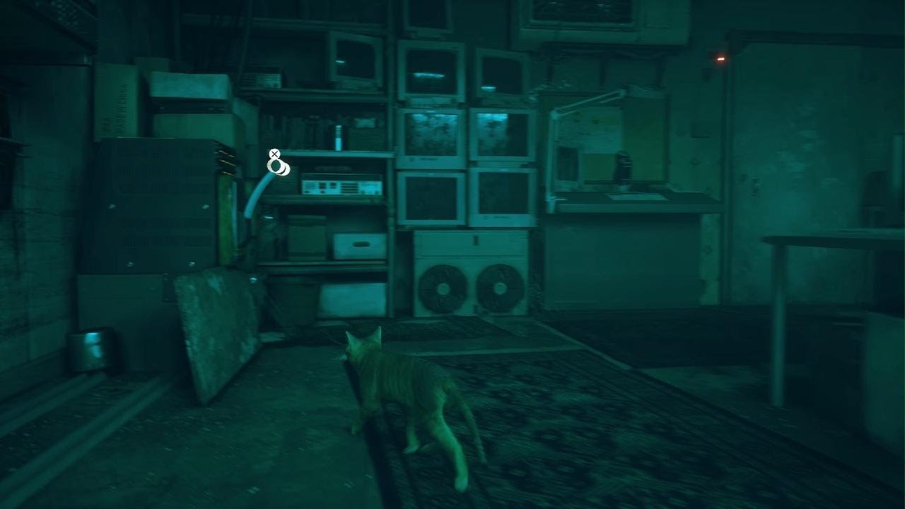 Stray_3