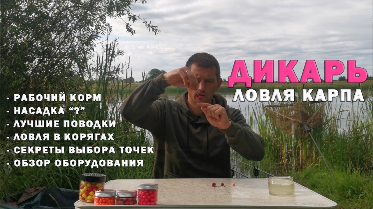 Дикарь 3. Как всегда ловить сазана и карпа. Подробно про мою ловлю+ практические советы. Карпфишинг