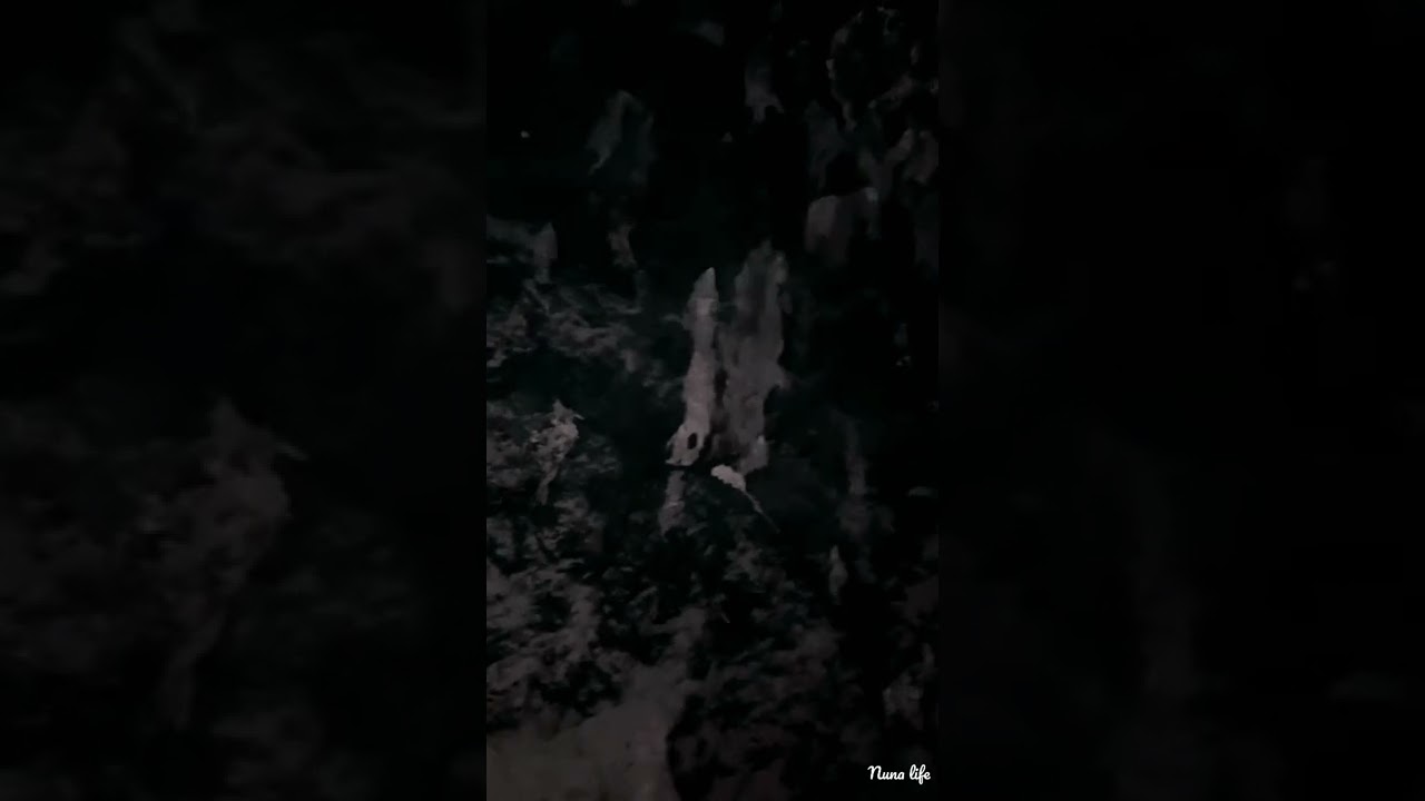 Jasana mountains inside the cave 🏔🏔 #adventure #life #nature