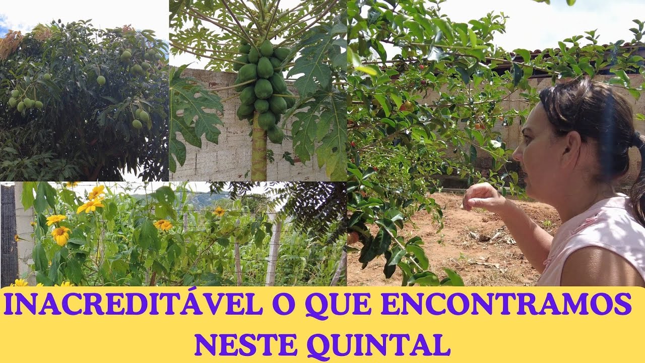 NÃO ESPERAVA POR ISSO: ESSA FAMÍLIA DA INGÁ ME SURPREENDEU COM O ACOLHIMENTO