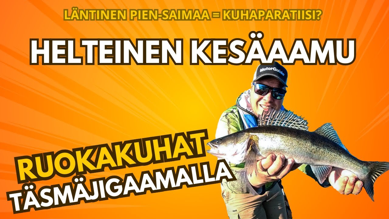PIKA-ISKU PIEN-SAIMAALLE | KIIKARISSA KUHA