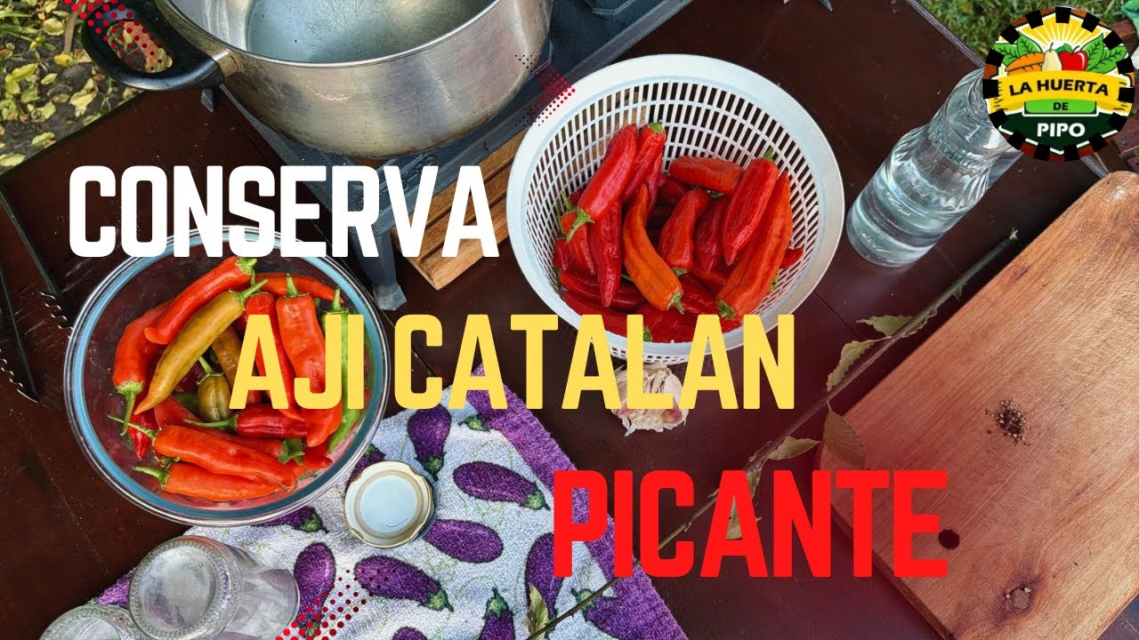 LA HUERTA DE PIPO - Conserva ají catalán picante 🌶️🥵