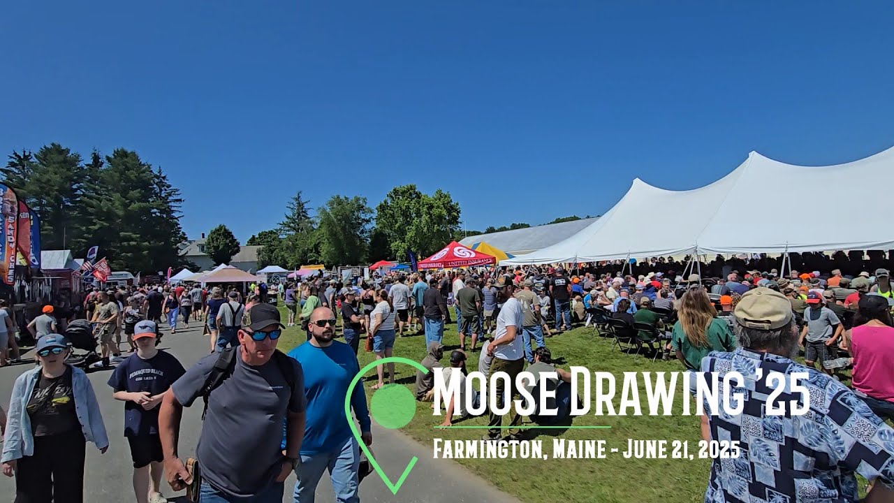 Maine Moose Drawing 2025