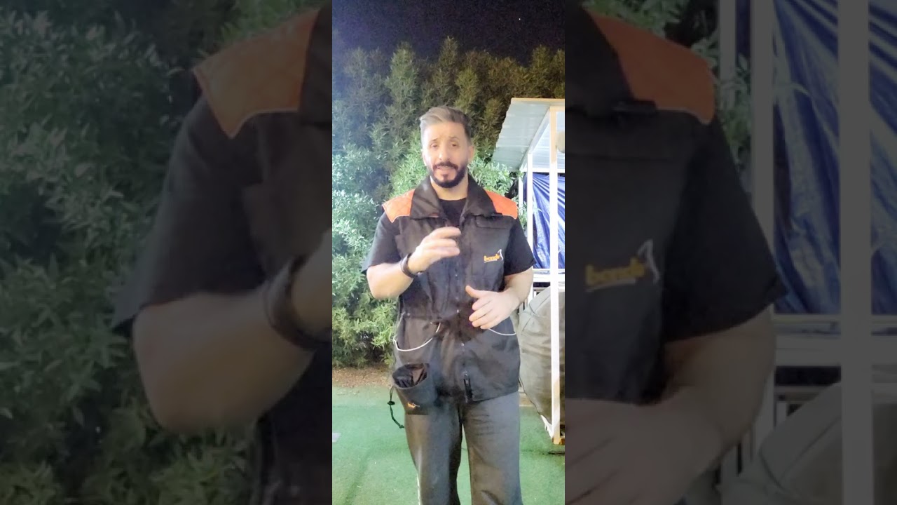 لازم تختار كلب على شخصيتك لكي تتجنب المشاكل