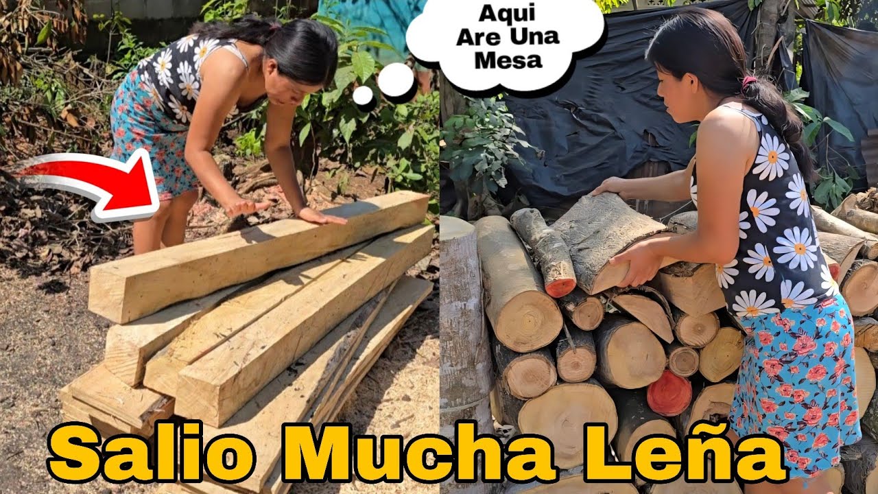🔴Que Bendición Dña Catita/Le Cayo Un Rallo Al Arbol Y Dña Catita Lo Hizo leña