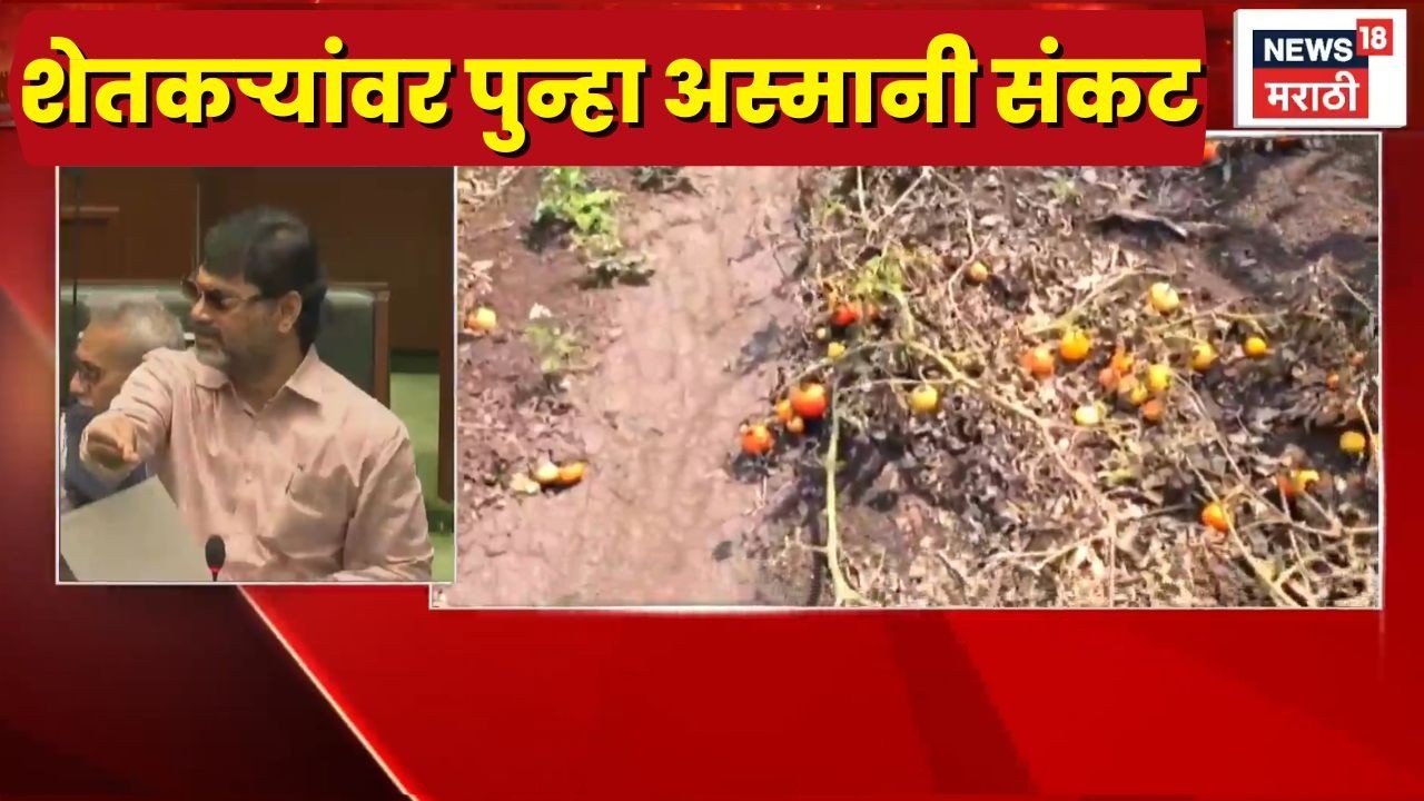 Unseasonal Rain News | अवकाळी आणि गारपिटीनं रब्बीला गाठलं