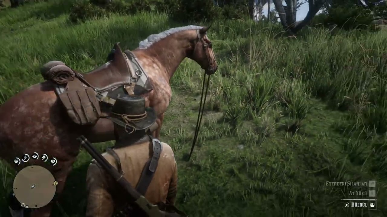 Red Dead Redemption 2  -12