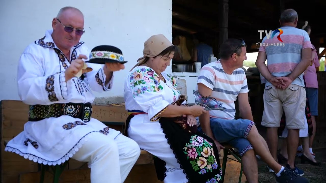 VAIDACUTA,  COLȚ DE RAI