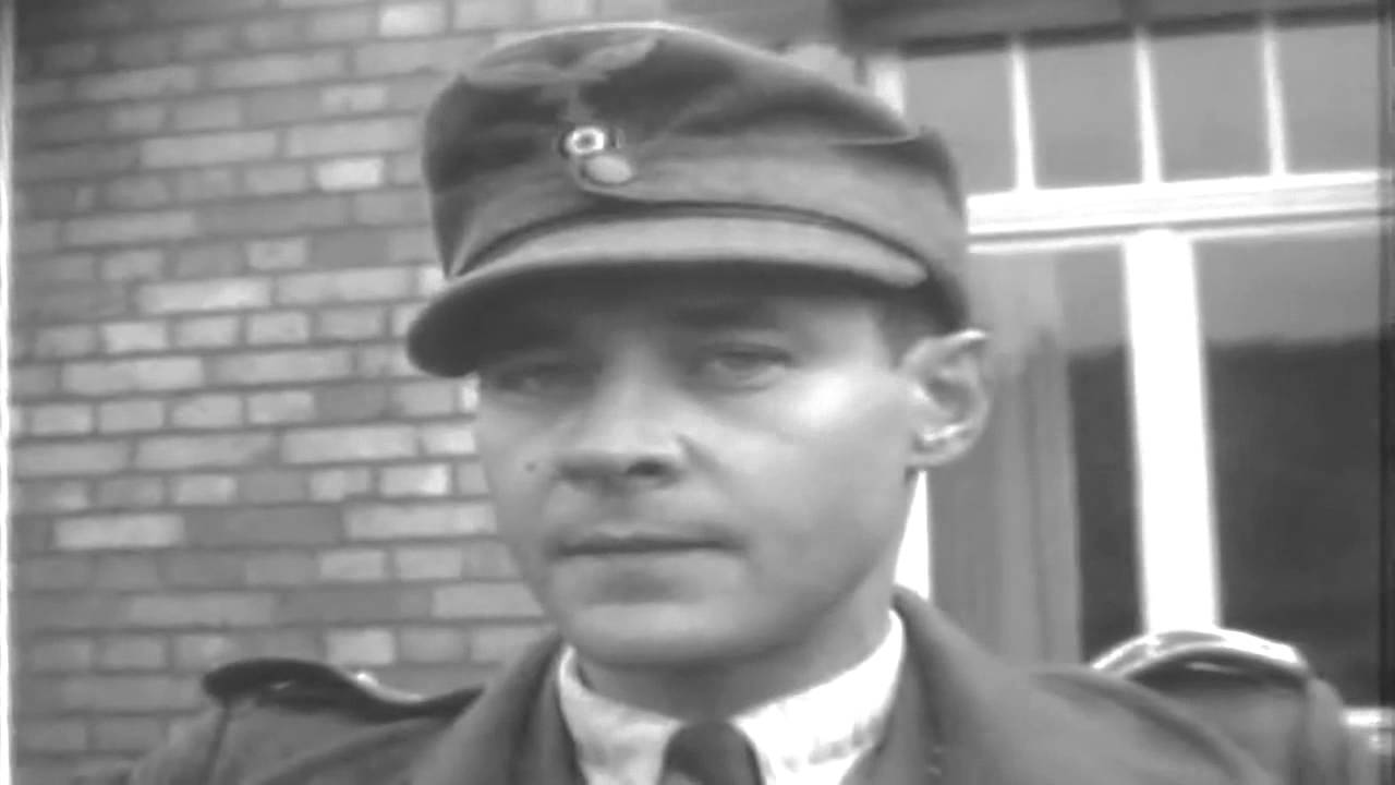 WW2 104th Infantry Division 
