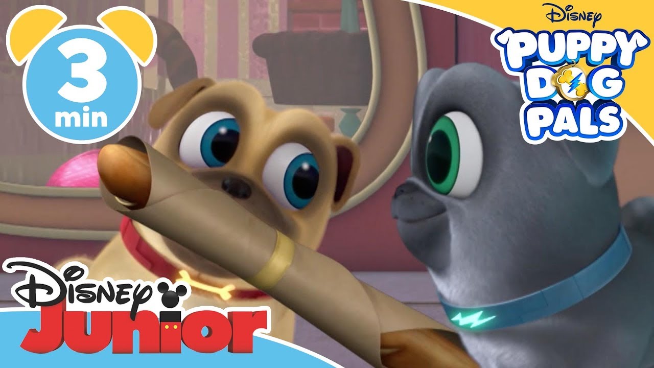 Magical Moments | Puppy Dog Pals: Puppies Fly To France | @disneykids