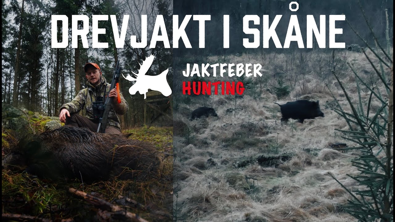 Drevjakt i Skåne (Aimpoint Media Hunt 2024)