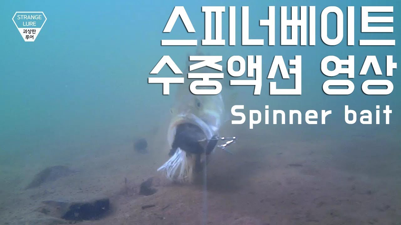 스피너베이트 수중액션/배스 수중촬영/쏘가리 니가 거기서 왜 나와? / spinner bait under water video