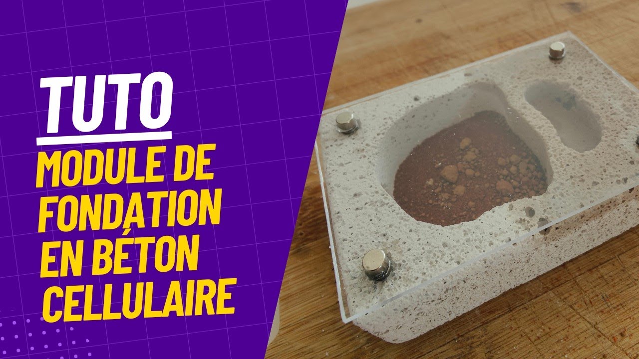 💥FOURMIS & TUTOS💥- Faire un nid en béton cellulaire pour fourmis simplement avec Ants&Max.