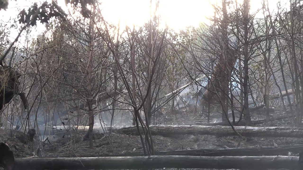 Waldbrand sorgt für 2 Alarmstufenerhöhungen in Eitorf am 06.06.23 + O-Ton