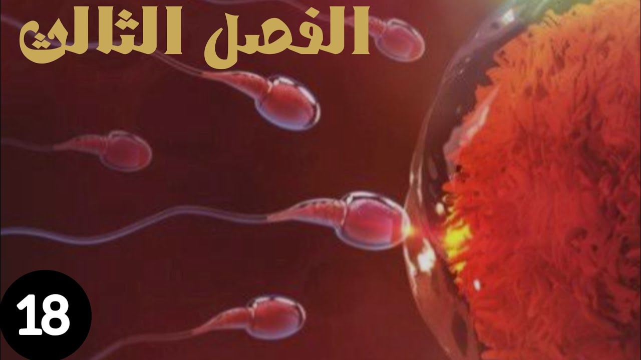� أحياء السادس العلمي | الفصل الثالث – التكاثر العذري  والتكاثر الخنثي 🔹