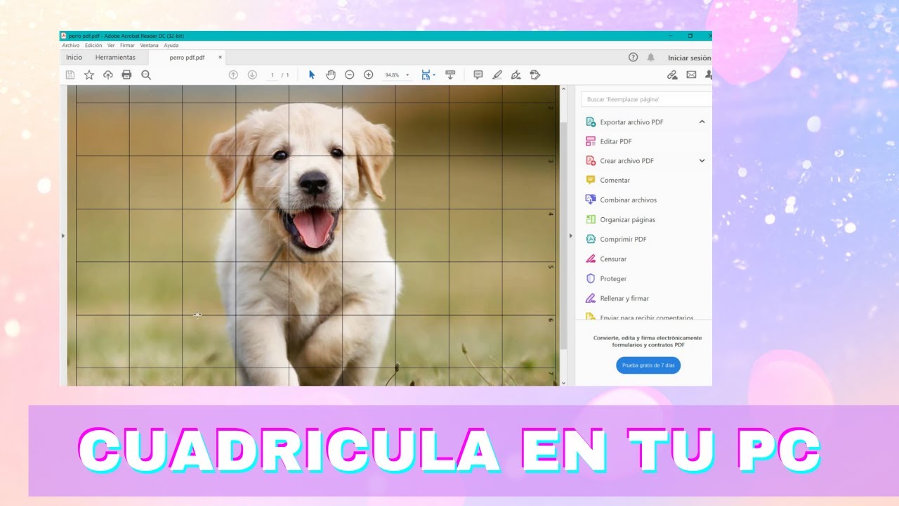 🤯🤯|°Tutorial°| 🍎Aprende Como Hacer CUADRICULA para DIBUJAR ✏️SIN IMPRIMIR 🖨️ ✖️
