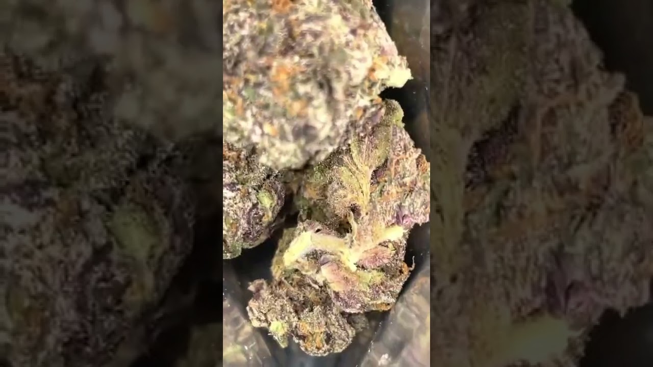 YA HEMI EXOTIC STRAIN⛽🔥😤😤😤