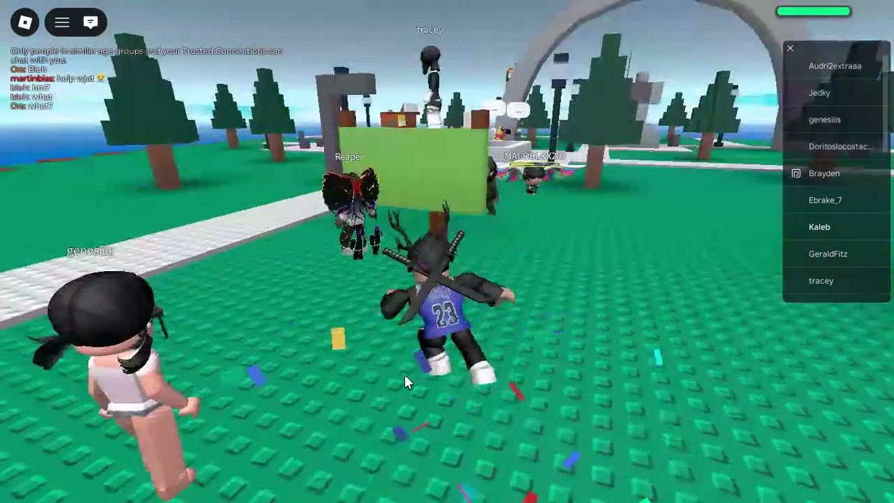 Roblox on acer chromebook spin 11