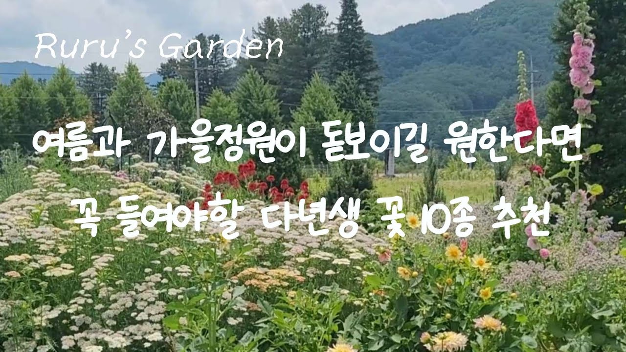 3년차 정원의 여름과 가을을 돋보이게 했던 다년생 꽃 돌아보기